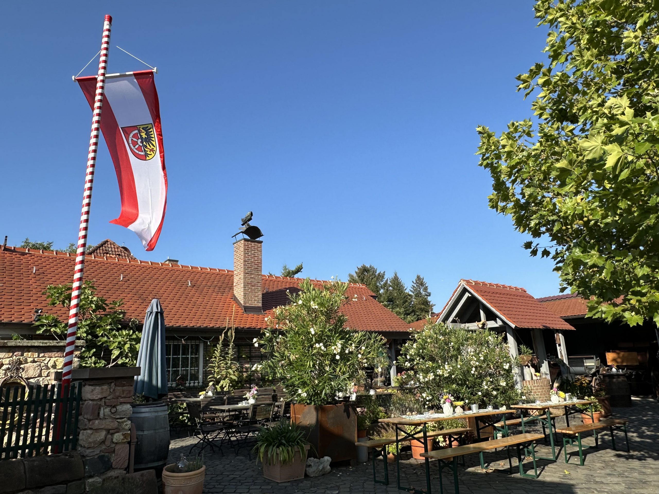 Mehr über den Artikel erfahren Einladung zum Weinfest am 29. August 2026